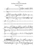 Трио для фортепиано, скрипки и виолончели, часть 1